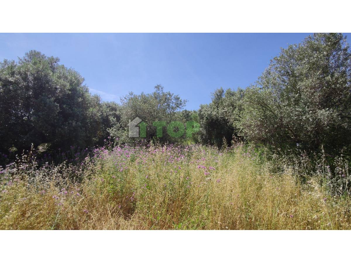 Terreno Edificabile Res. in vendita in  zona Colle a Montesilvano - 2614974 foto 9