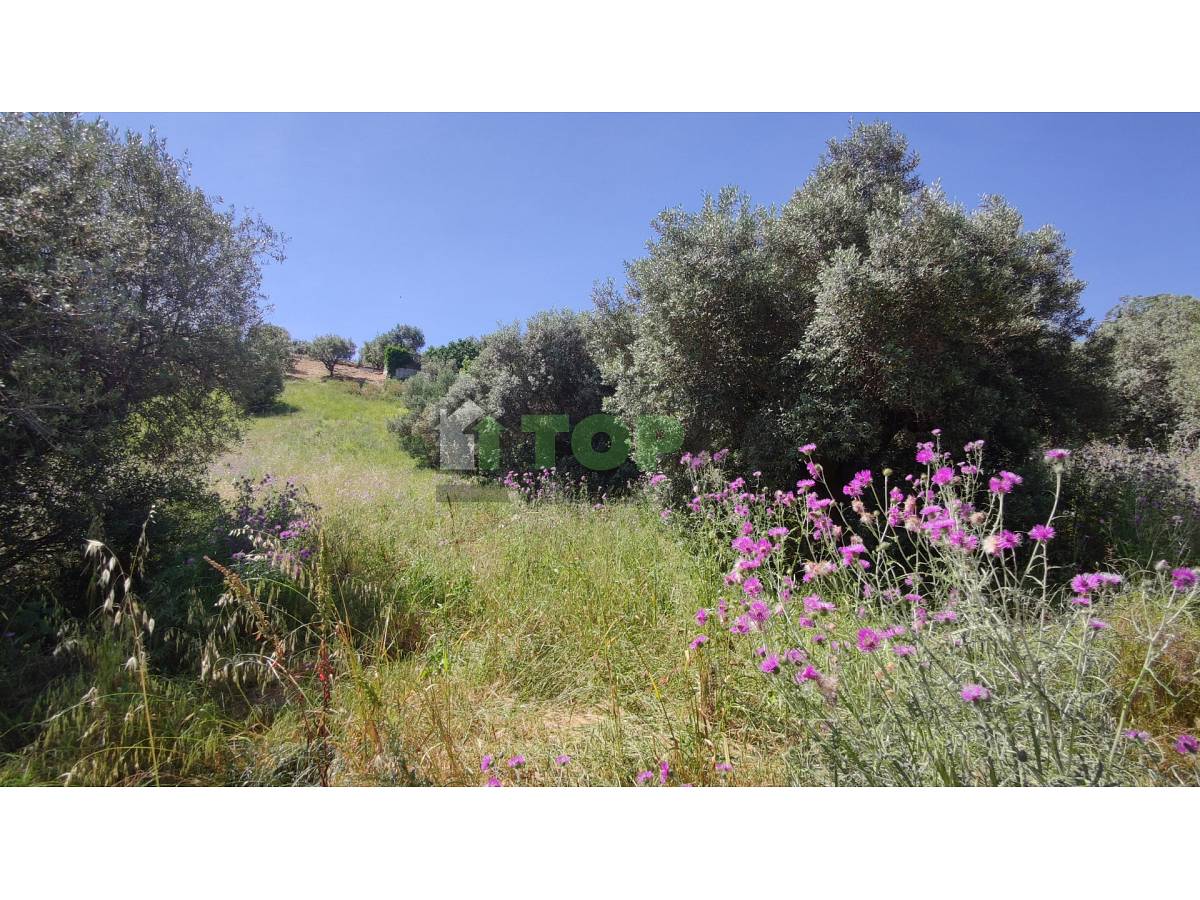 Terreno Edificabile Res. in vendita in  zona Colle a Montesilvano - 2614974 foto 11