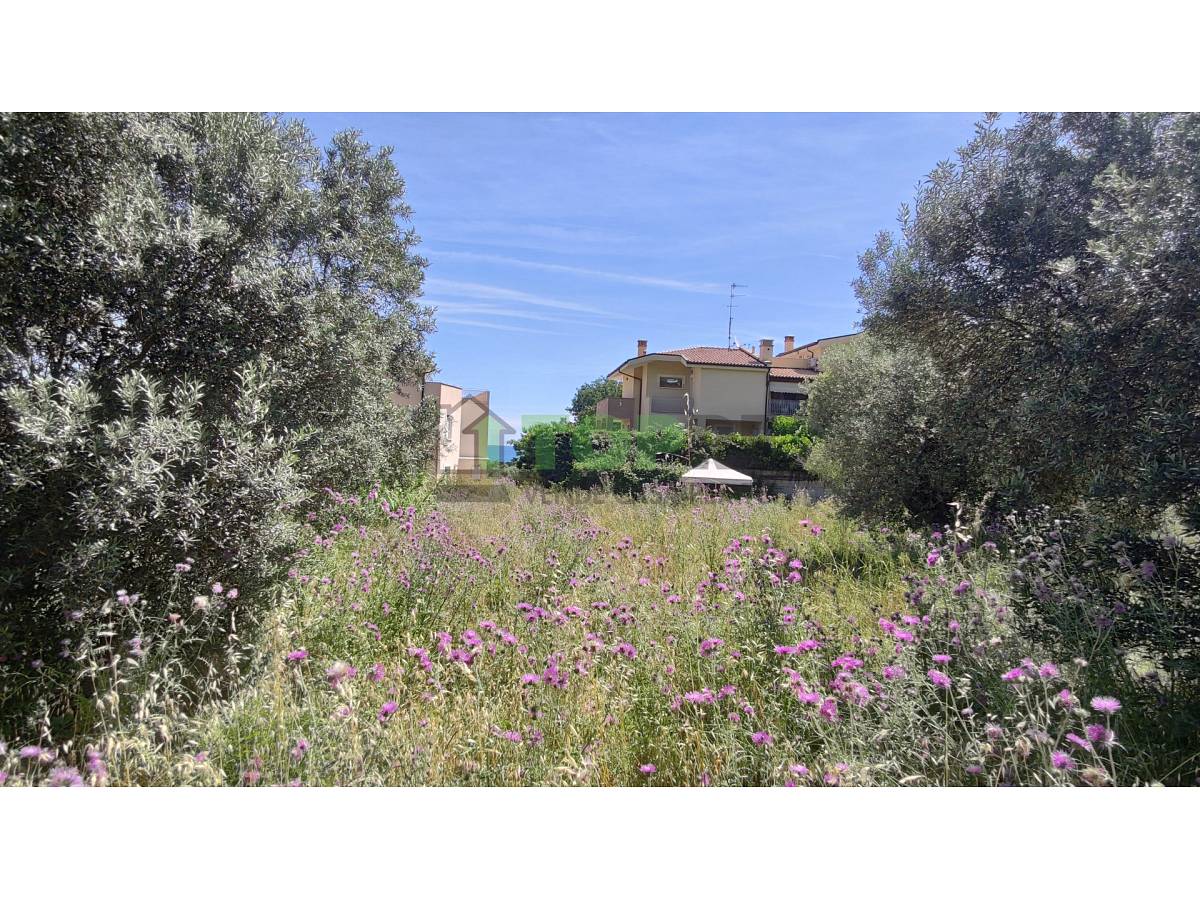 Terreno Edificabile Res. in vendita in  zona Colle a Montesilvano - 2614974 foto 12