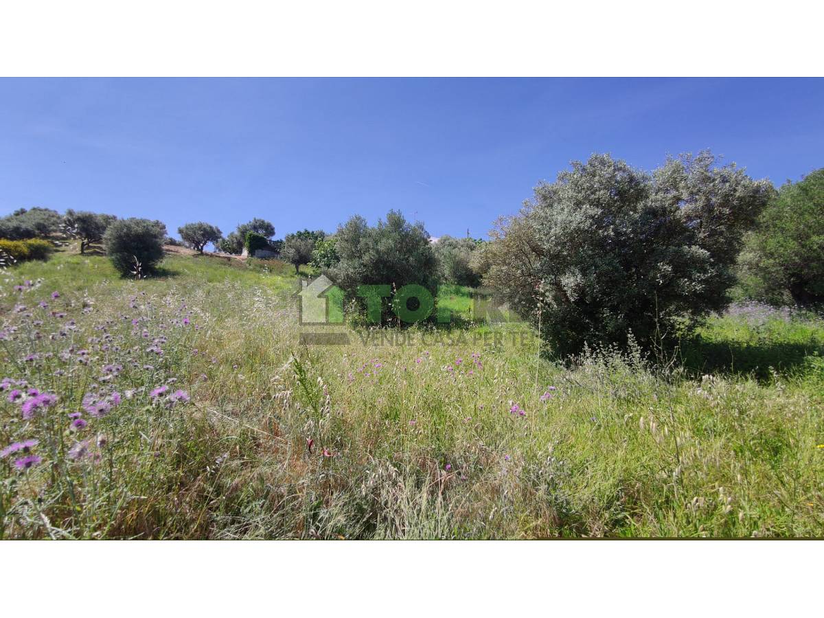 Terreno Edificabile Res. in vendita in  zona Colle a Montesilvano - 2614974 foto 13