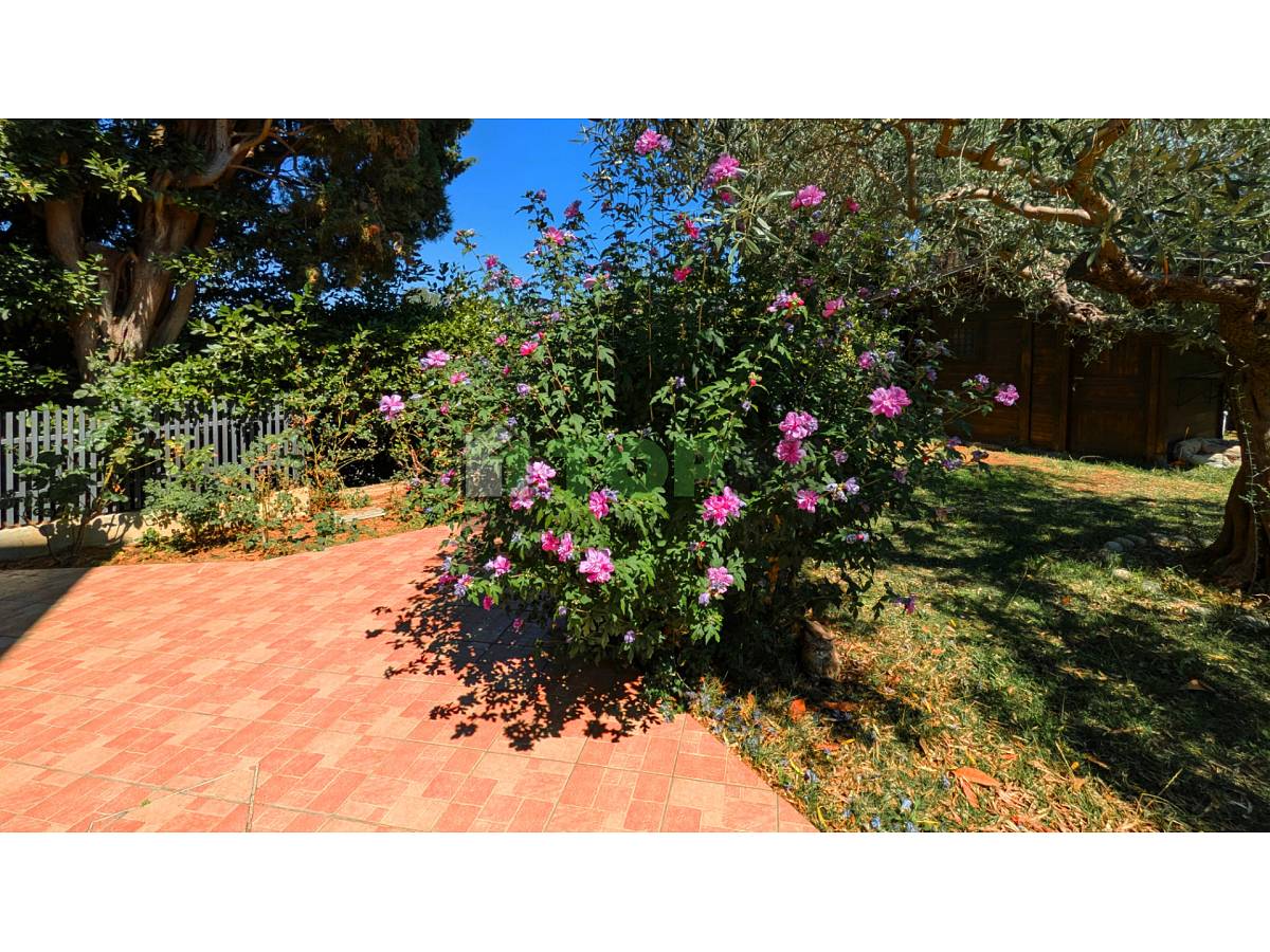 Indipendent house for sale in Valle Anzuca, 22  at Francavilla al Mare - 7834948 foto 7