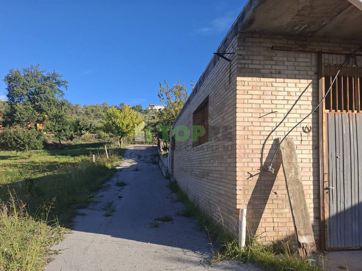 Warehouse for sale in   at Ripa Teatina - 7085503 foto 4