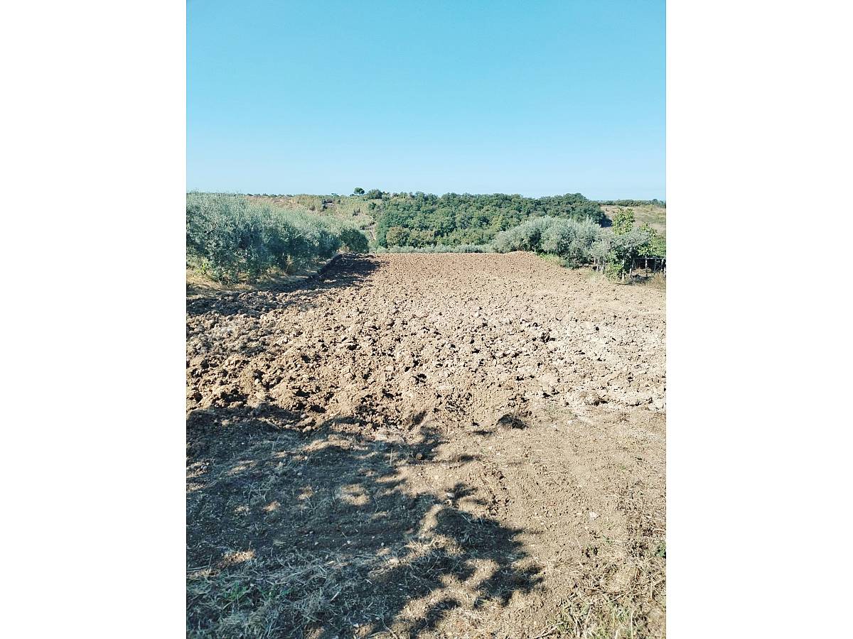 Villa for sale in CONTRADA VERDUGIA at Casalbordino - 4312024 foto 21