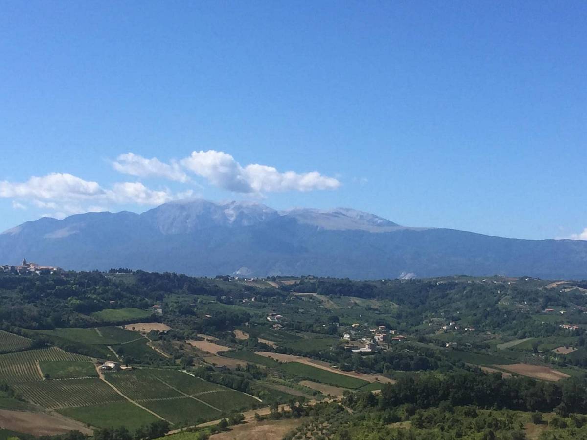 Casa indipendente in vendita in Via San Salvatore a Ripa Teatina - 5735468 foto 4