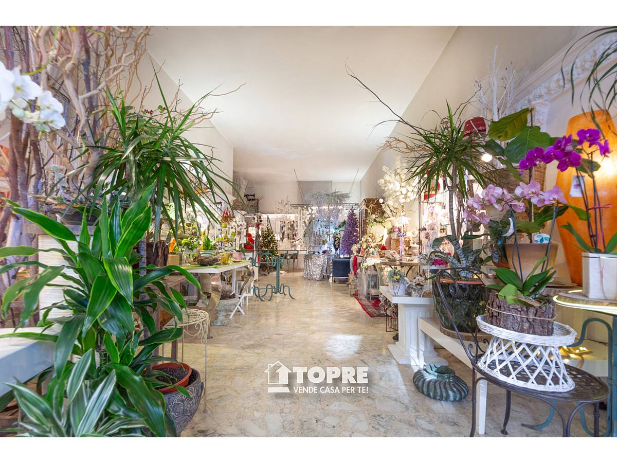 for sale in Via Liberazione in Clinica Spatocco - Ex Pediatrico area at Chieti - 2959870 foto 2