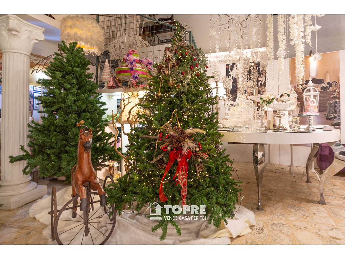 for sale in Via Liberazione in Clinica Spatocco - Ex Pediatrico area at Chieti - 2959870 foto 7