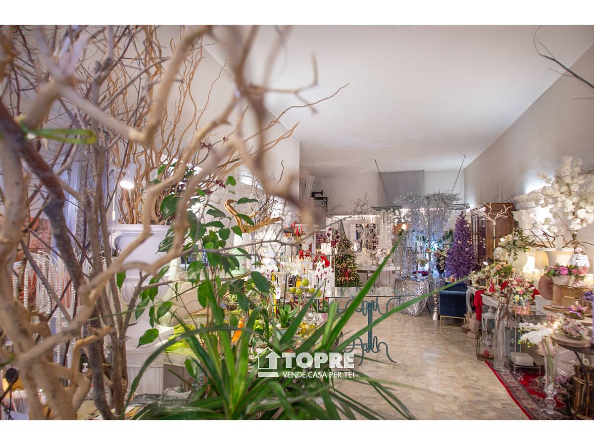 for sale in Via Liberazione in Clinica Spatocco - Ex Pediatrico area at Chieti - 2959870 foto 8