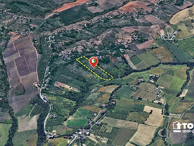 Vendita Terreno Agricolo a Casalincontrada