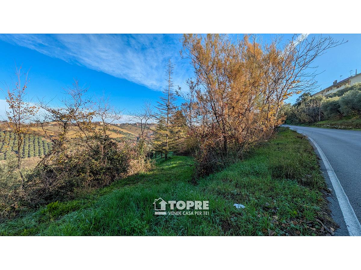 Farmland for sale in   at Casalincontrada - 5530528 foto 2