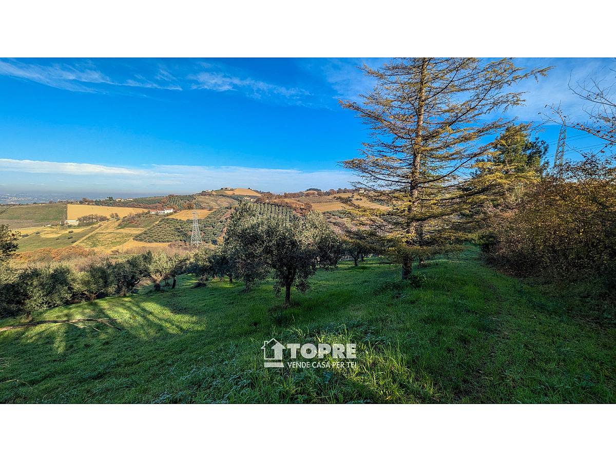 Farmland for sale in   at Casalincontrada - 5530528 foto 3