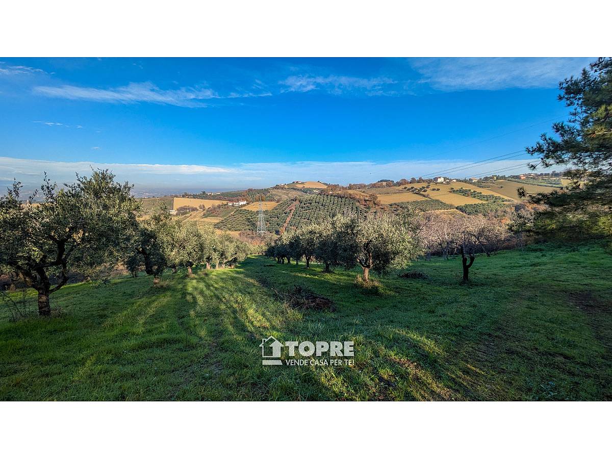 Terreno Agricolo in vendita in   a Casalincontrada - 5530528 foto 4