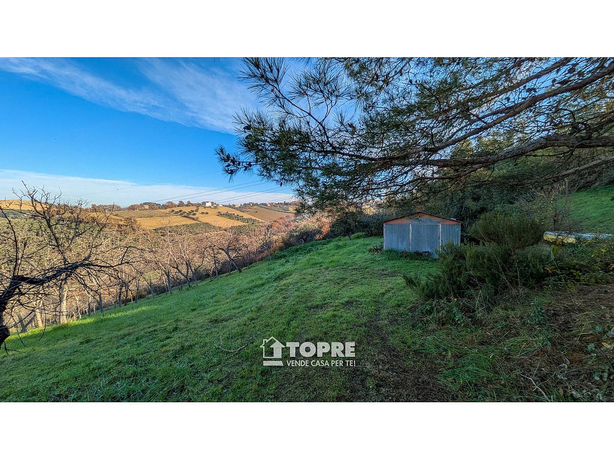 Farmland for sale in   at Casalincontrada - 5530528 foto 5