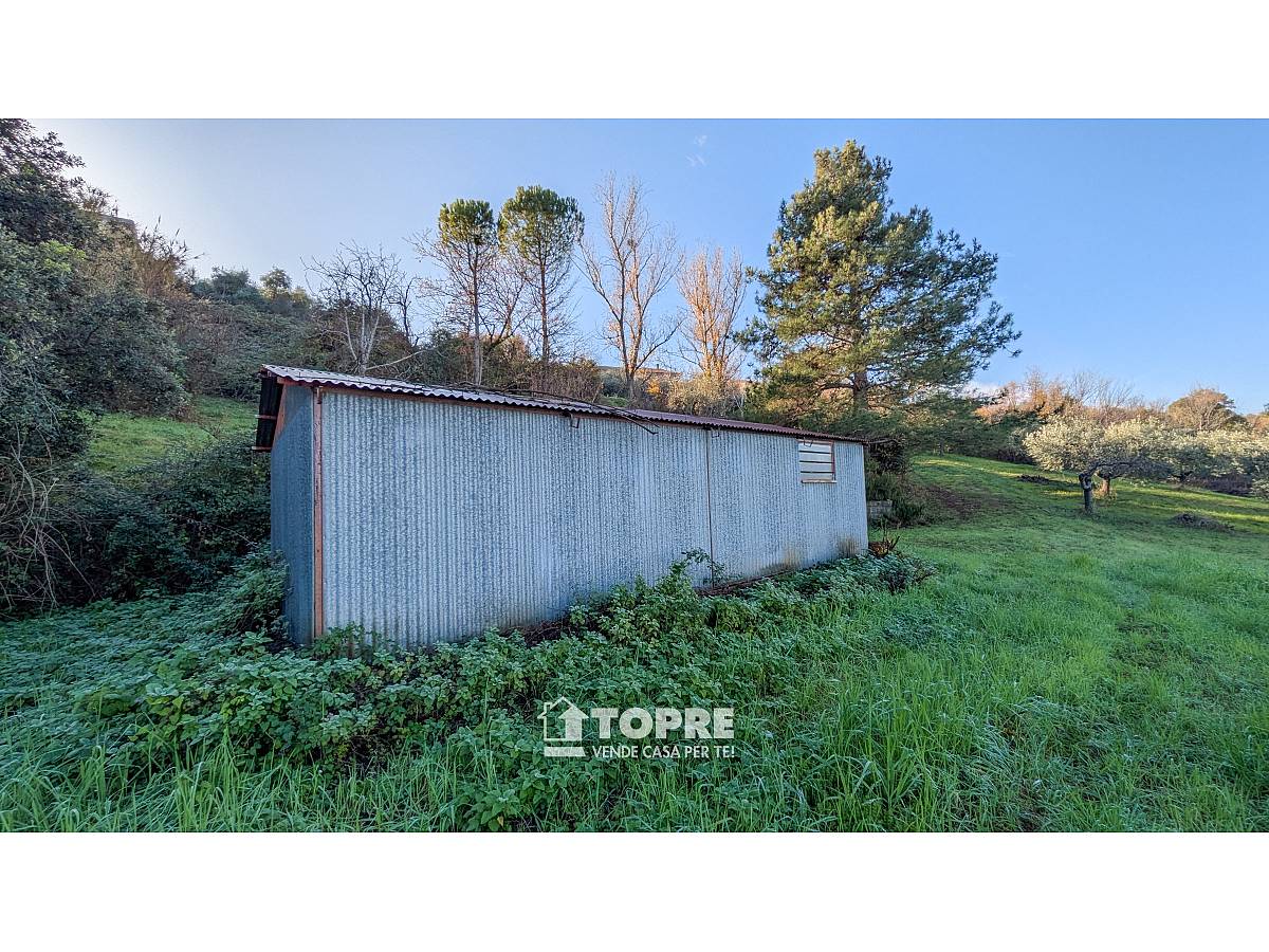 Terreno Agricolo in vendita in   a Casalincontrada - 5530528 foto 6