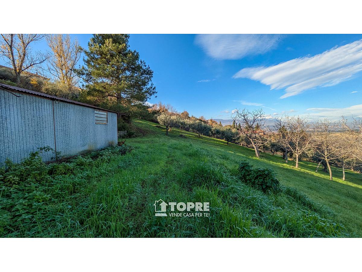 Farmland for sale in   at Casalincontrada - 5530528 foto 8