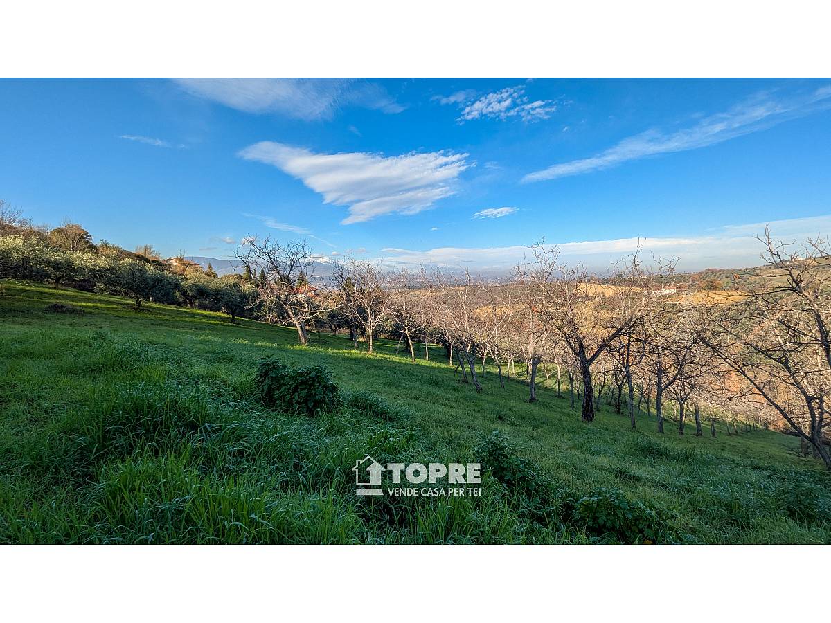 Terreno Agricolo in vendita in   a Casalincontrada - 5530528 foto 9