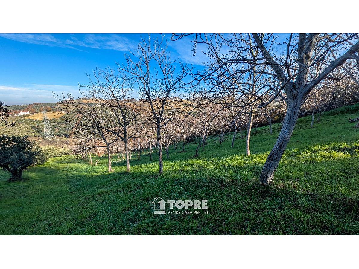 Farmland for sale in   at Casalincontrada - 5530528 foto 10
