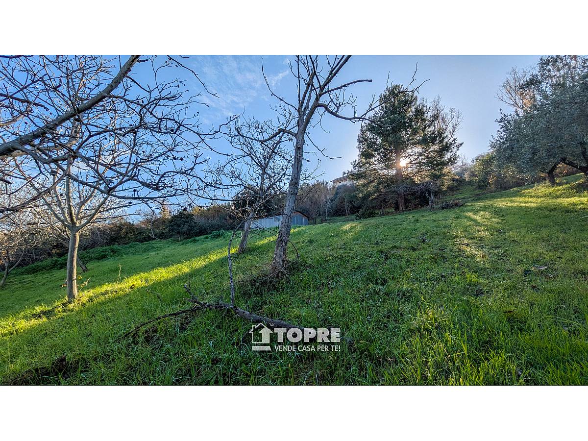 Farmland for sale in   at Casalincontrada - 5530528 foto 11