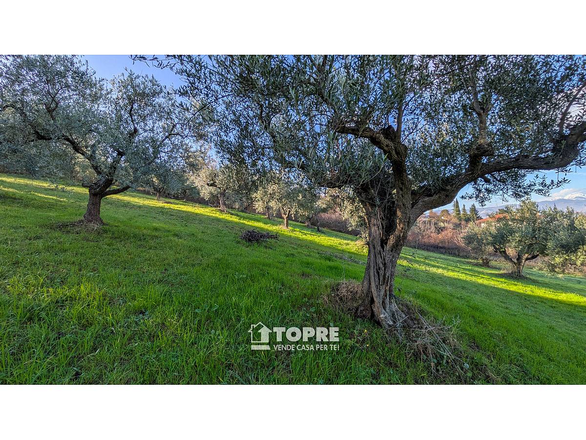 Farmland for sale in   at Casalincontrada - 5530528 foto 12