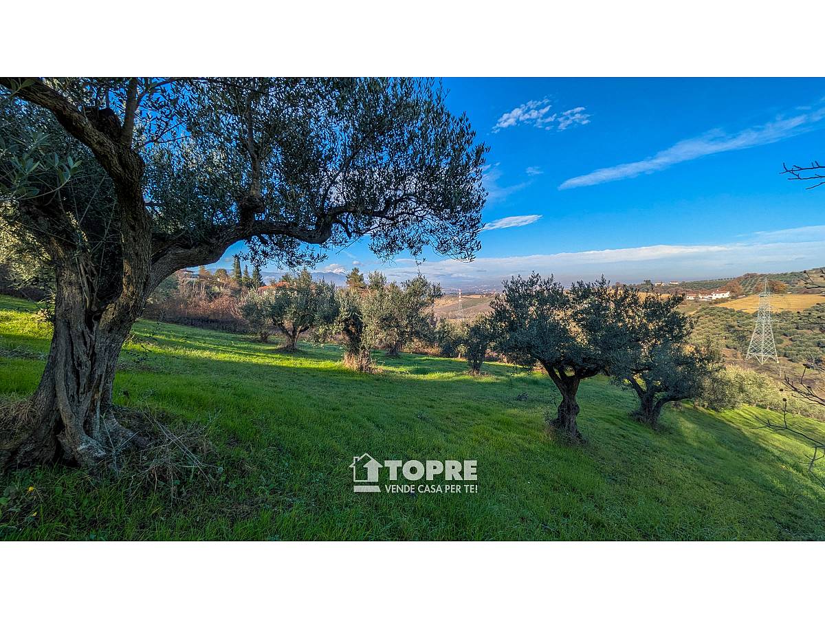 Farmland for sale in   at Casalincontrada - 5530528 foto 13