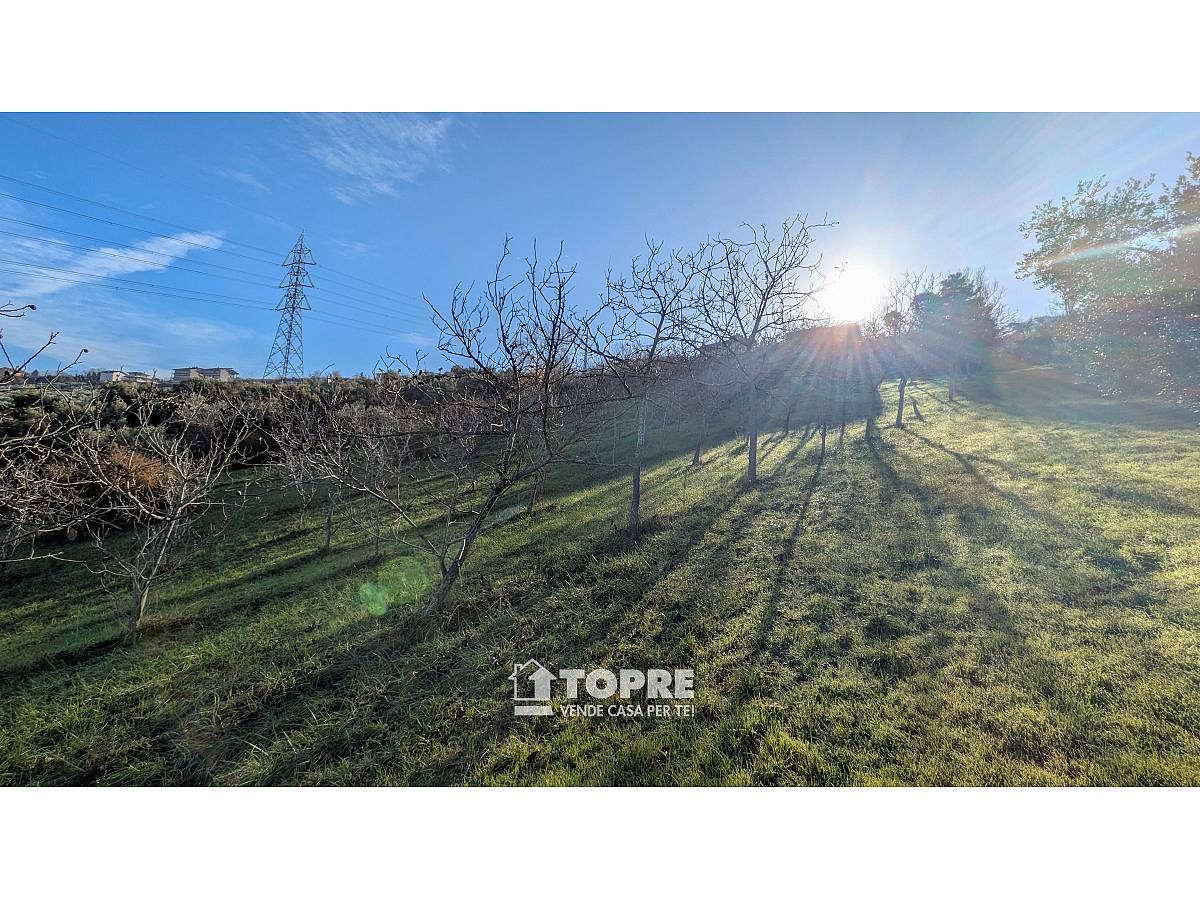 Terreno Agricolo in vendita in   a Casalincontrada - 5530528 foto 14