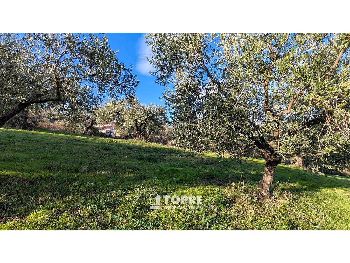 Farmland for sale in   at Casalincontrada - 5530528 foto 15