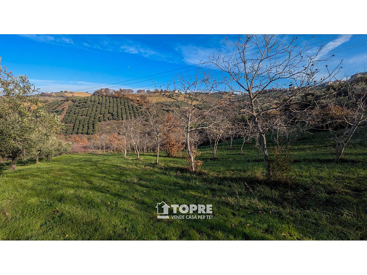 Terreno Agricolo in vendita in   a Casalincontrada - 5530528 foto 16