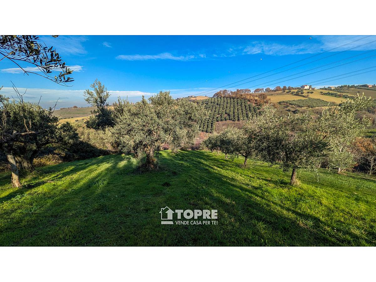 Farmland for sale in   at Casalincontrada - 5530528 foto 17