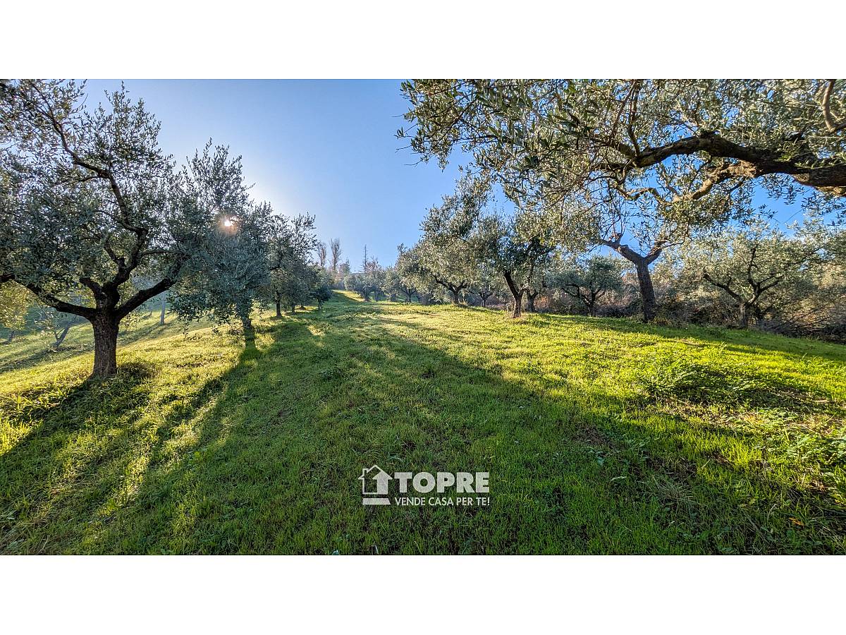 Farmland for sale in   at Casalincontrada - 5530528 foto 18