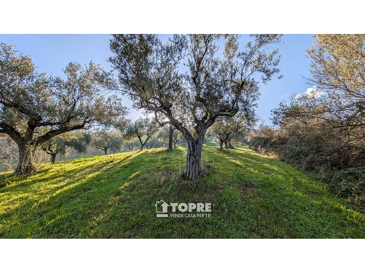 Farmland for sale in   at Casalincontrada - 5530528 foto 19