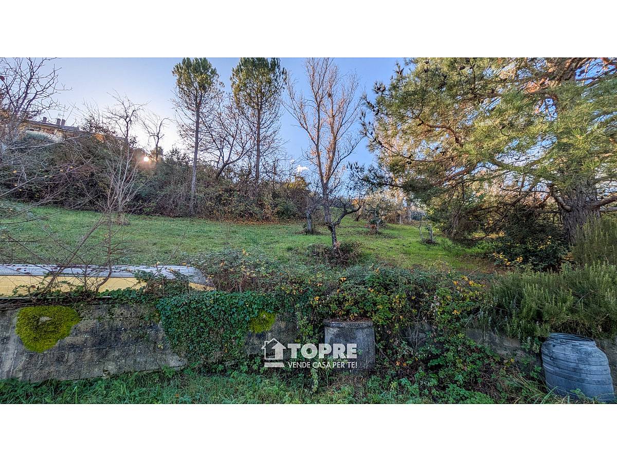 Farmland for sale in   at Casalincontrada - 5530528 foto 21