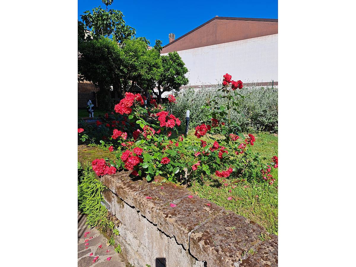 Villa for sale in at Chieti - 4503627 foto 7