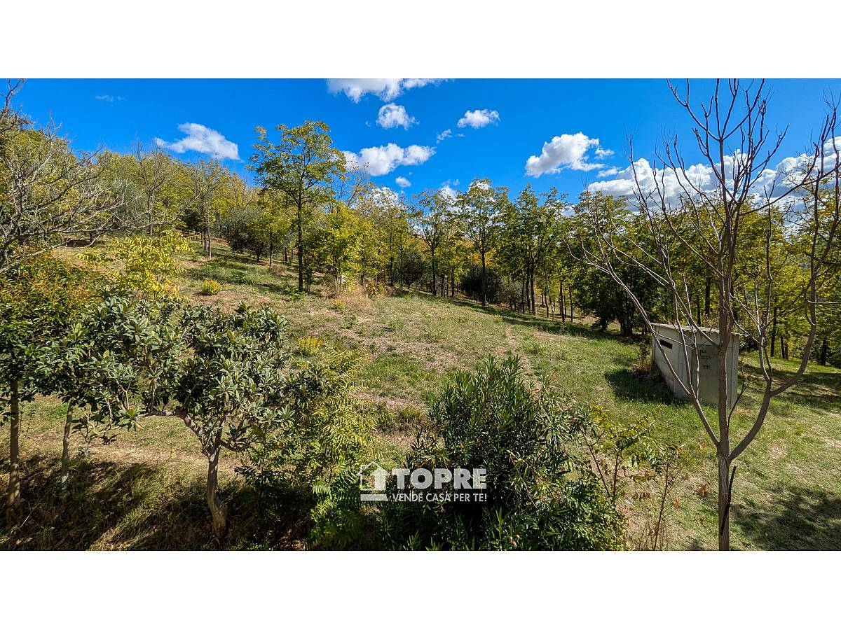 Indipendent house for sale in Via Ugo Agostini  in Filippone area at Chieti - 4466598 foto 29