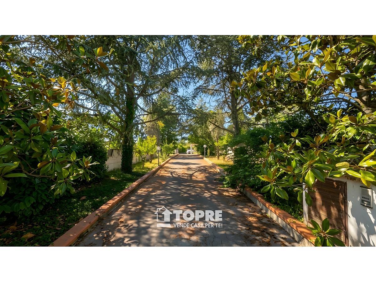 Casa indipendente in vendita in  zona S. Anna - Sacro Cuore a Chieti - 4366997 foto 5