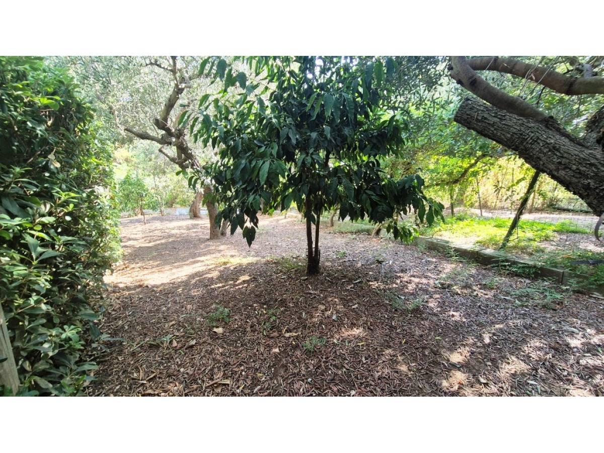 Indipendent house for sale in strada cascini at Chieti - 9454624 foto 7