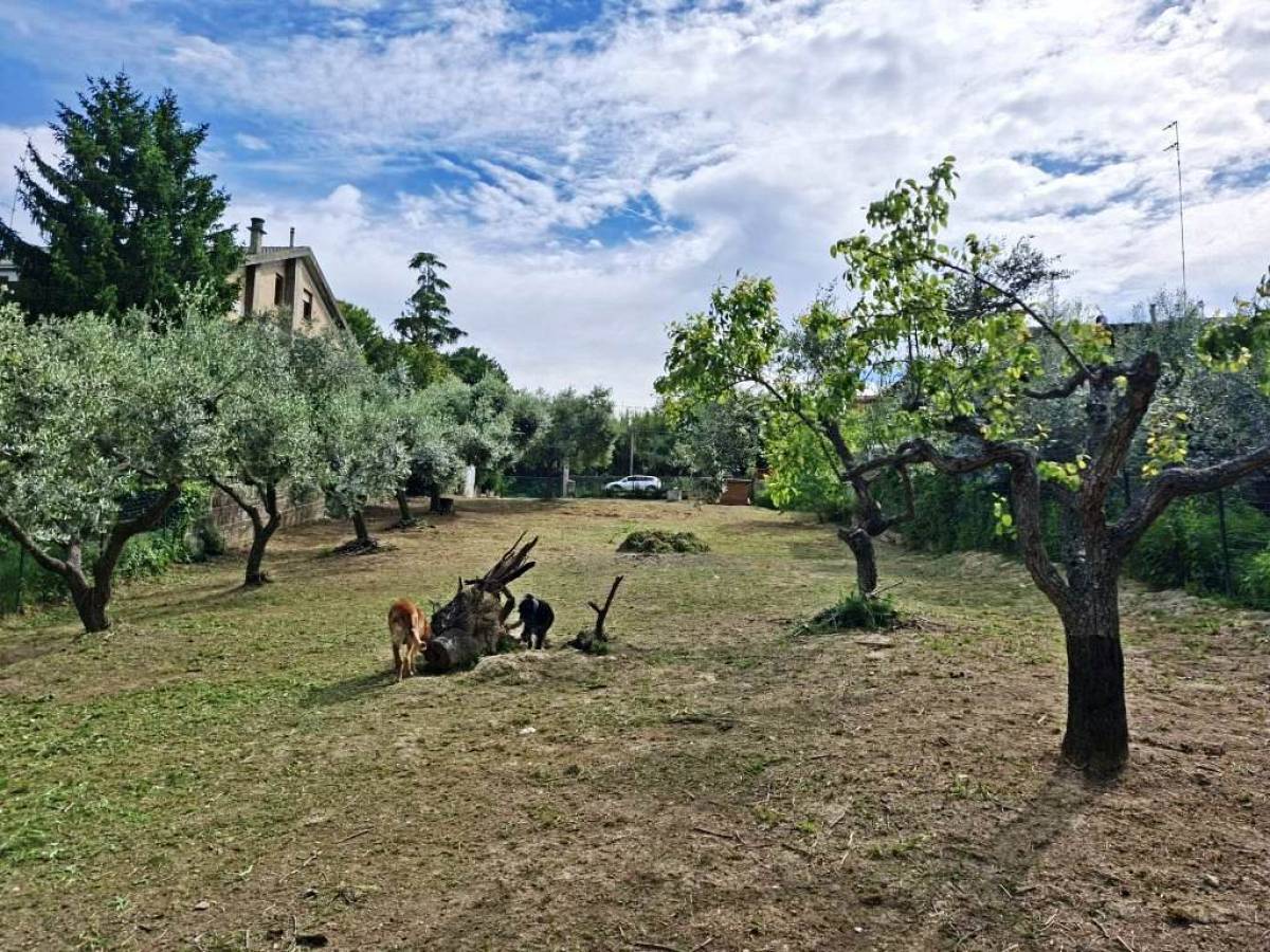Terreno Agricolo in vendita in via fonte ricciuti  a Chieti - 680114 foto 3