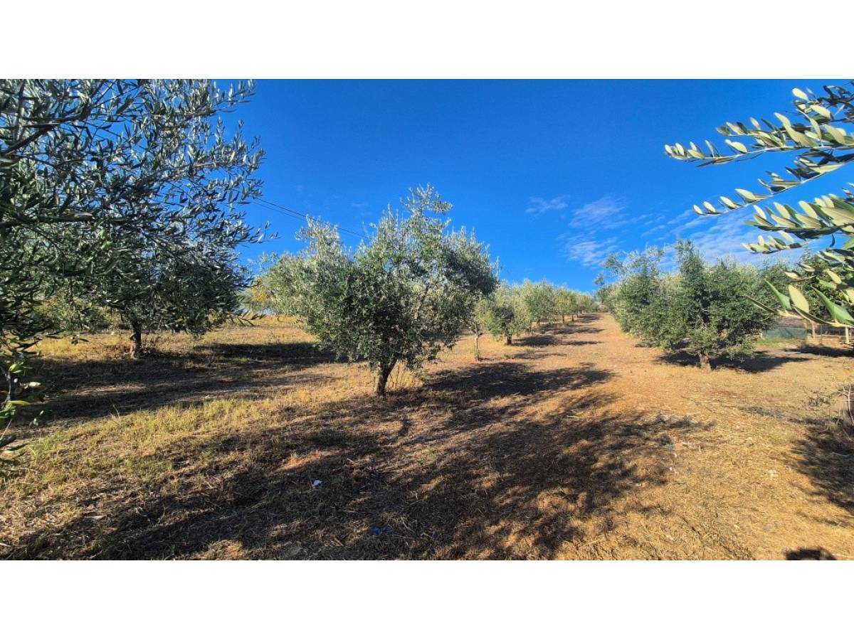 Farmland for sale in at Giuliano Teatino - 6691426 foto 2