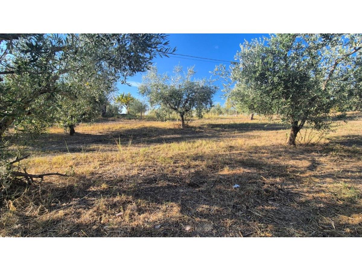 Terreno Agricolo in vendita in a Giuliano Teatino - 6691426 foto 3