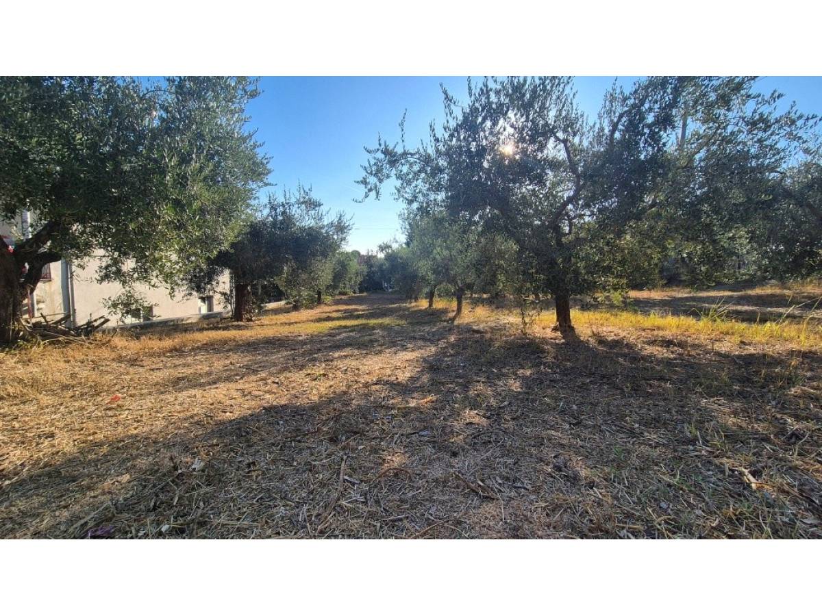 Terreno Agricolo in vendita in a Giuliano Teatino - 6691426 foto 4